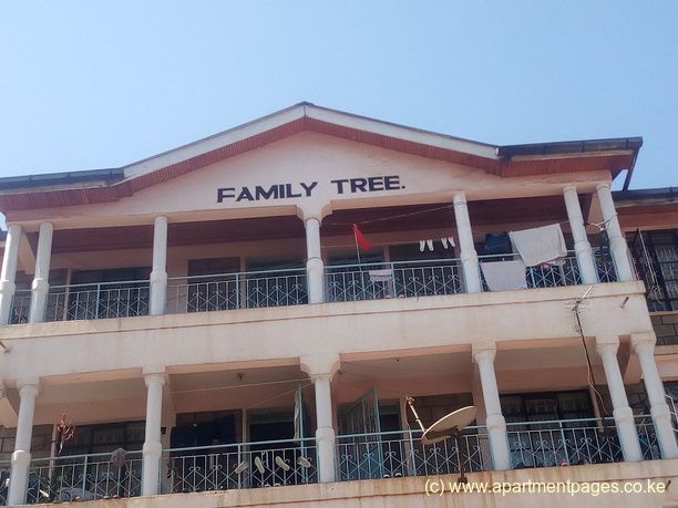 Family Tree, Marurui Road, 155A, Nairobi City, Nairobi, Kenya